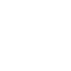 VoiceBot Elipse Ai VoiceBot Elipse Ai